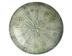 Тарелка глубокая d22см, Fusion, цвет Grey 67351G09 379017