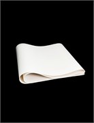 РЕМЕНЬ ДЛЯ ТЕСТОРАСКАТКИ ROLLMATIC S00301 383535