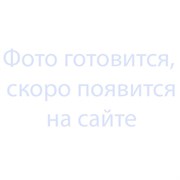 Шестерня для блинного аппарата РК-2.1 универсального типа УТ000007288